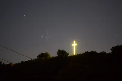 DSC_0737 (Large).JPG